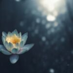 Photo Mindful meditation